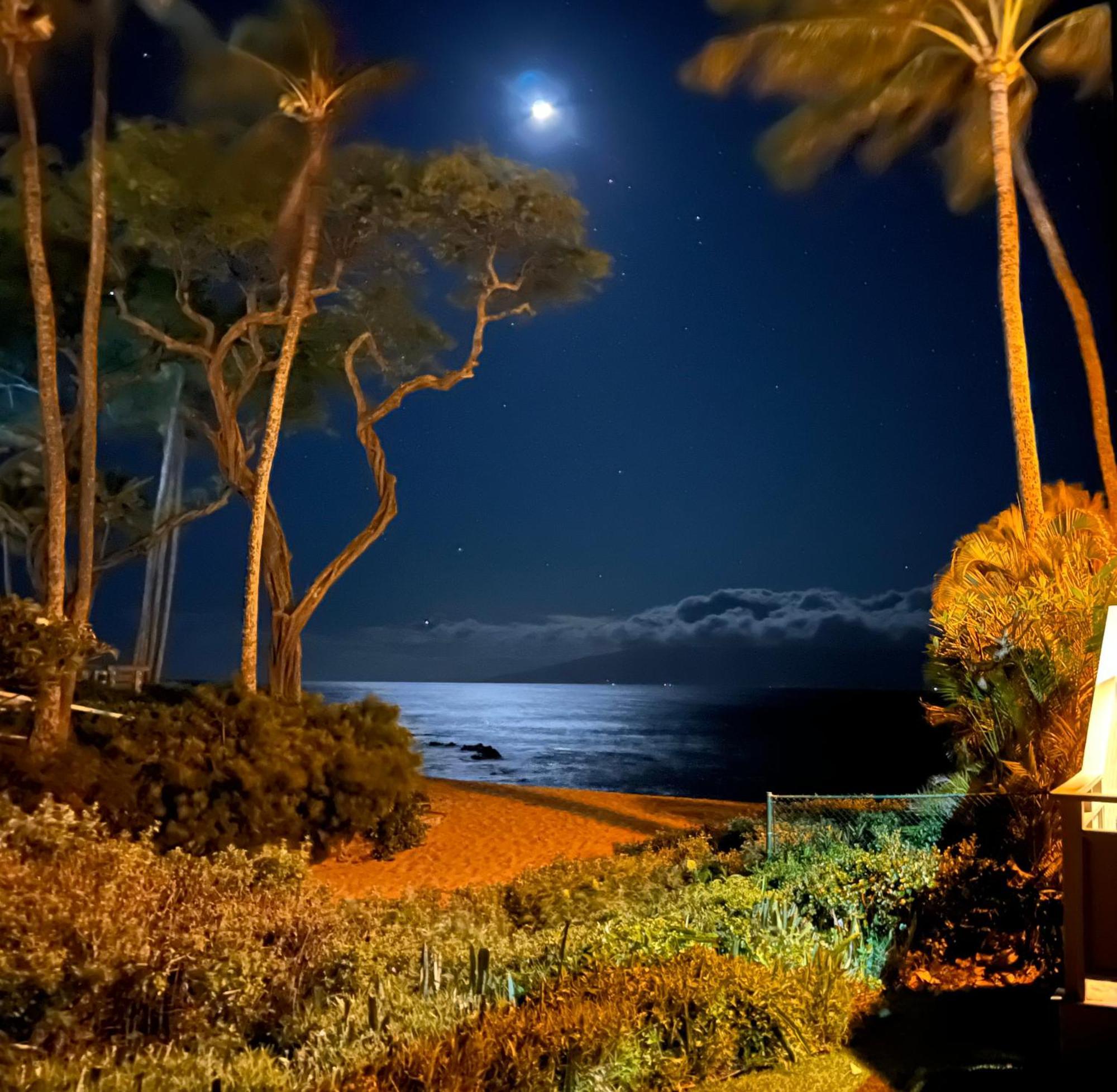 The Napili Bay 111 - Ocean View Studio - Steps From Napili Beach Kapalua Ngoại thất bức ảnh
